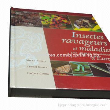Coloring book printing house